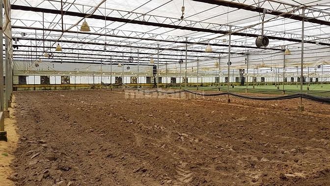 Cần Bán đất 56ha ở Lạc Dương ,Đà Lạt