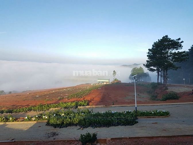 Bán Đất Biệt Thự Cực Đẹp Khu BT Vạn Xuân Huyện Lạc Dương