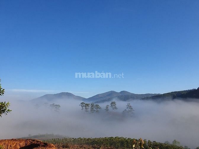 Cần Bán Nhanh Lô Đất View Hồ Siêu Đẹp Để Đầu Tư , Kinh Doanh Tại Lạc Dương, Lâm Đồng - giá đầu tư f0