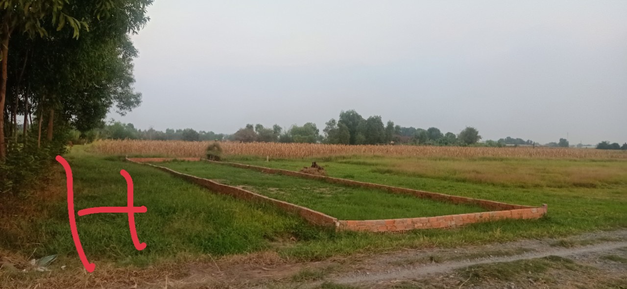 Cần bán lô đất Mỹ Hạnh Bắc , Đức Hòa , Long An