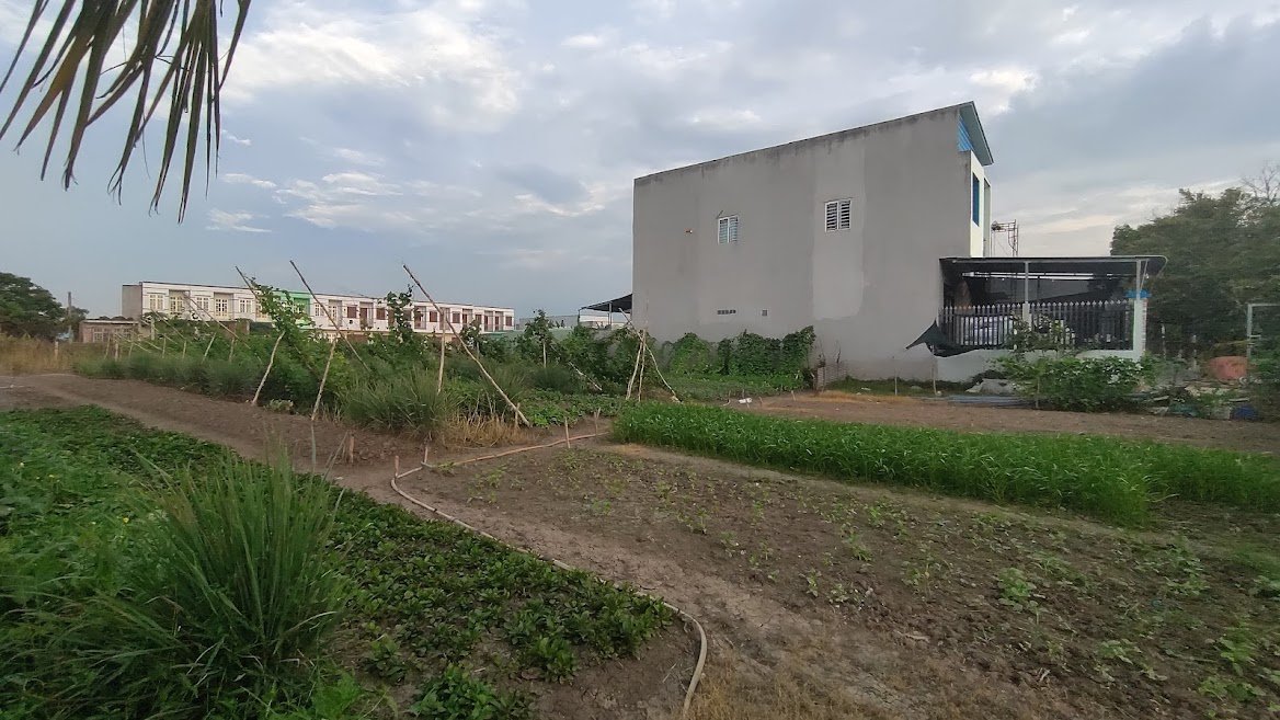 Chính chủ 1.212 m2, full thổ cư, mặt tiền xe tải, 9,8 tỷ, 25 phút đến Aeon Bình Tân